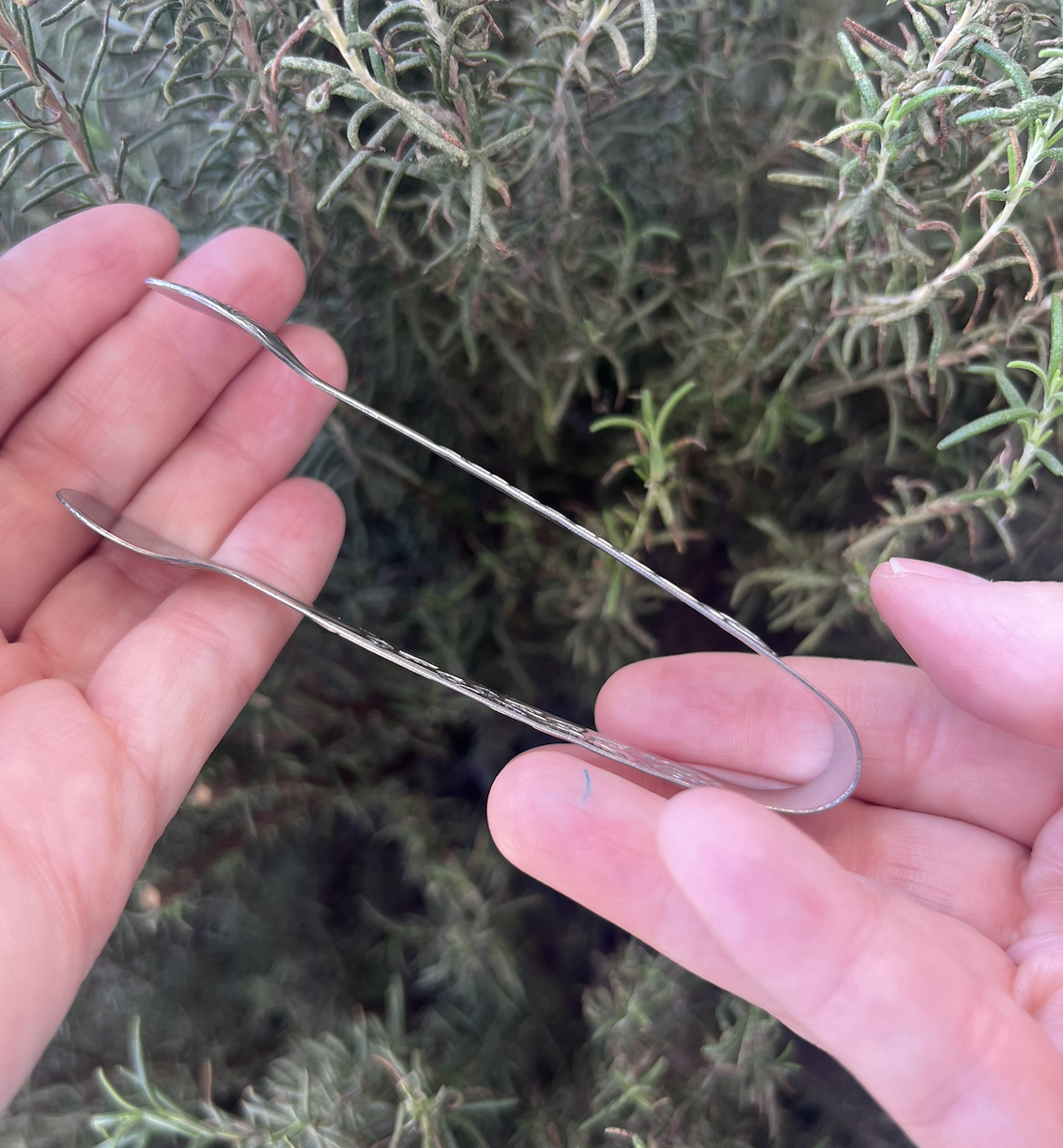 Pinzas para carbón⎮Grabada plateada